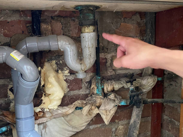 Best Fire Damage Restoration  in Osceola, IN