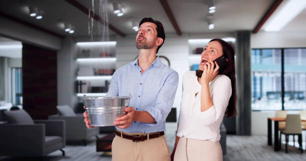 Best Commercial water damage restoration  in Osceola, IN