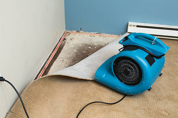 Reliable Osceola, IN Water damage restoration Solutions
